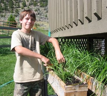 sweetgrass
