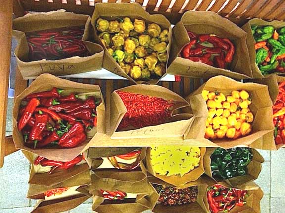 Highland Gardens Camp Hill Pa Pepper Display Garden Seedlings