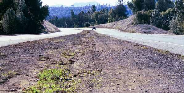 highway median