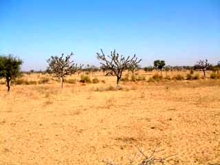 India desert