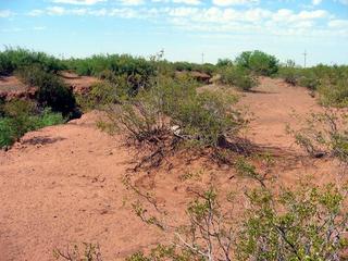 New Mexico