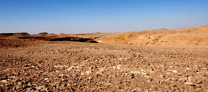 Oman vegetation