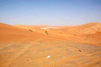 Oman vegetation