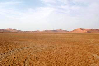 Oman vegetation