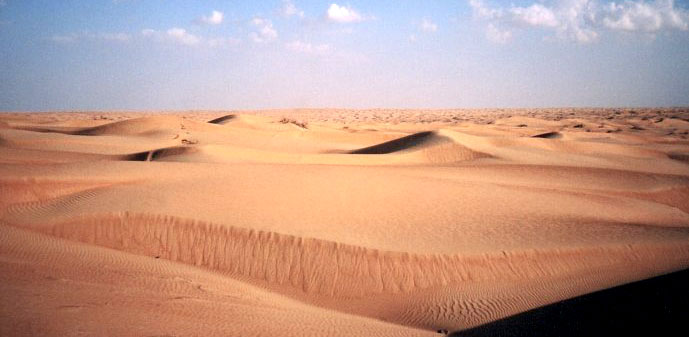 Oman vegetation