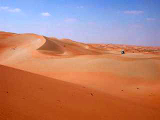 Oman vegetation