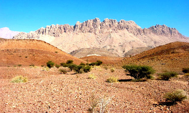 Oman vegetation