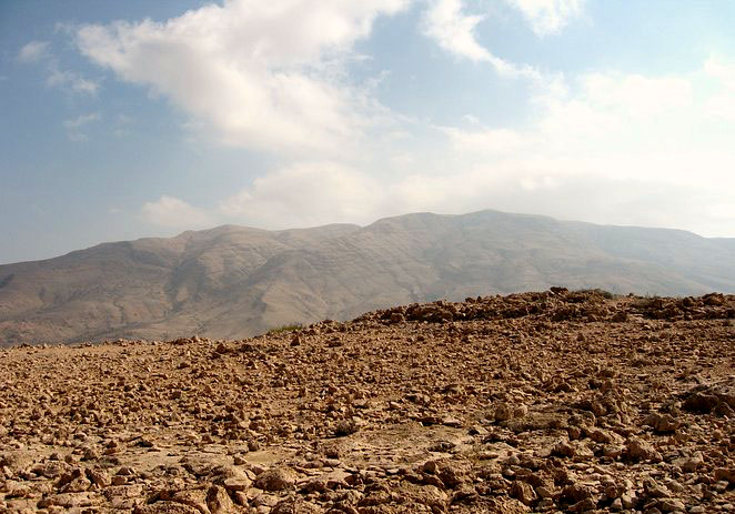 Oman vegetation