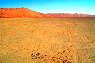 ancient saudi lake