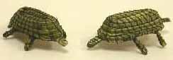 sweetgrass turtle