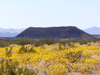 Amboy crater