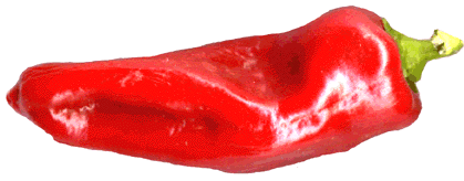 Cubanelle pepper