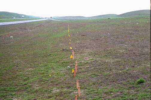 Dunnigan Hills test plot