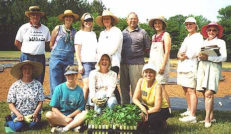 pepper planting group