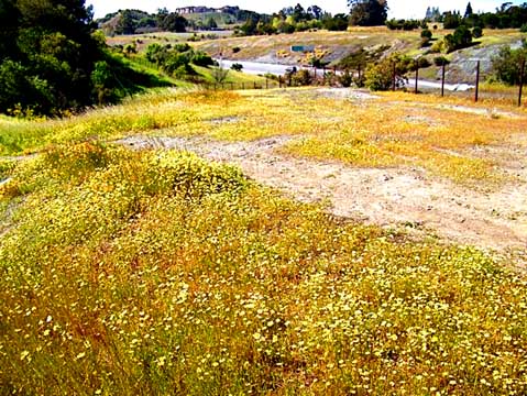 Kite Hill WOODSIDE